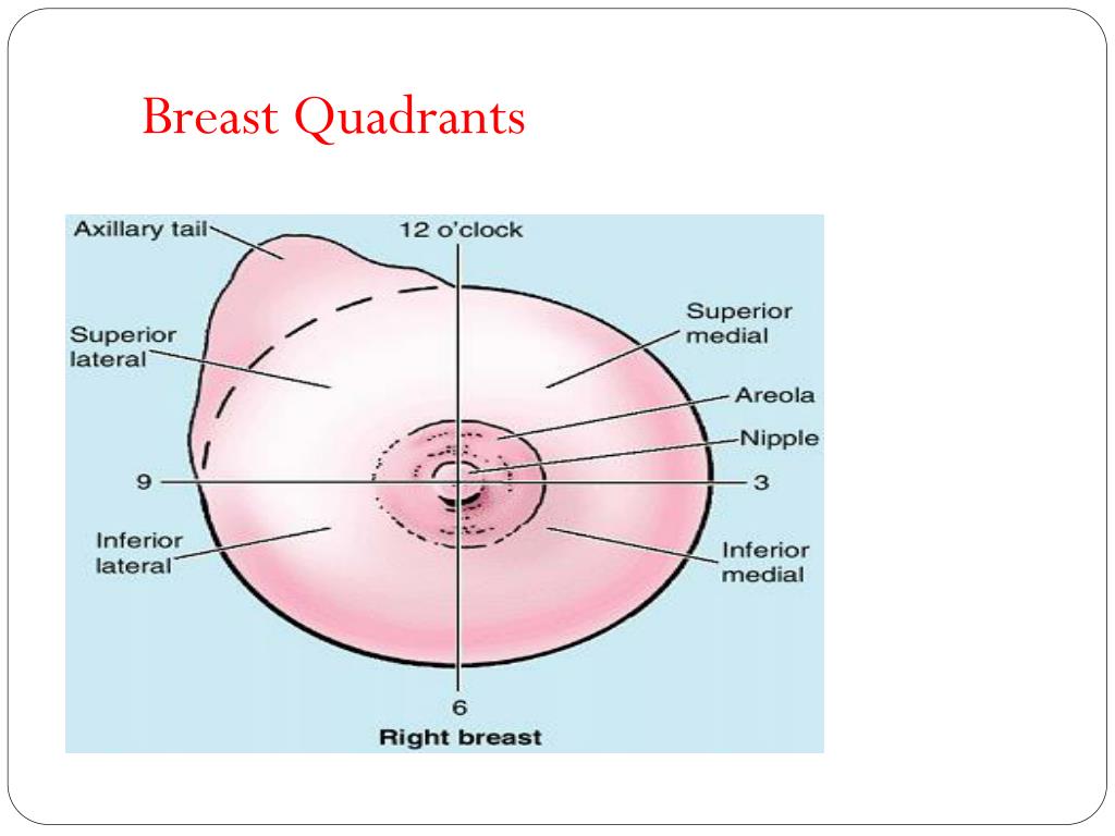 Наружном квадранте. Верхне-наружный Квадрант молочной железы. На границе наружных квадрантов молочной железы. Квадранты молочных желез схема. Деление молочной железы на квадранты.